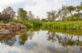 Small pond in landscaping garden Royalty Free Stock Photo