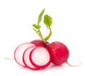 Small garden radish Royalty Free Stock Photo