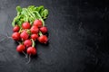 Small garden radish, on black stone background, with copy space for text Royalty Free Stock Photo