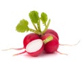 Small garden radish Royalty Free Stock Photo