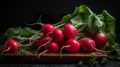 Small garden radish with leaves close up. Fresh raw radishes on black background. Royalty Free Stock Photo