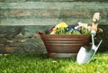 Small garden trowel with colourful flowers Royalty Free Stock Photo