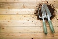 Small gardening shovel and fork on wooden background Royalty Free Stock Photo