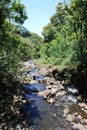 A small, gently flowing rocky stream through a rainforest along Hawaii Belt Road in Hamakua, Hawaii
