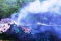 A small geyser erupts sending steam and water into the air