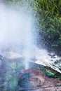 A small geyser erupts sending steam and water into the air