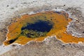 A small geyser near Grand prismatic spring