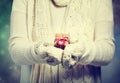 Small gift box in womans hands Royalty Free Stock Photo