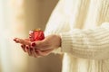 Small gift on the hand Royalty Free Stock Photo