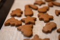 Small Gingerbread Cookies Fresh out of the Oven Royalty Free Stock Photo