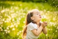 Small girl blowing dandelion Royalty Free Stock Photo