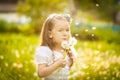 Small girl blowing dandelion Royalty Free Stock Photo