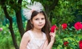 Small girl with bow in hair. little beauty in white dress. wedding angel kid. child enjoy rose flower in park. spring Royalty Free Stock Photo