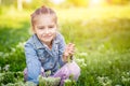 Small girl is collecting flowers Royalty Free Stock Photo