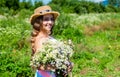 Small girl collecting flowers and herbs on sunny day, vacation concept Royalty Free Stock Photo