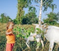 Small girl feeding a goat Royalty Free Stock Photo