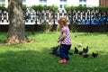 Small girl feeds pigeons in city park