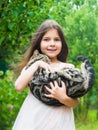 Small girl hold cute cat in hands. kid love her pet. human and animals. love and care. fluffy cat in hand of pretty