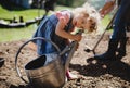 Small girl playing outdoors in garden, sustainable lifestyle concept. Royalty Free Stock Photo