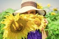 Small girl rustic style hiding behind sunflowers, hide and seek Royalty Free Stock Photo