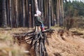 A small girl is sitting on a stump in the woods with a glass. sense of freedom.