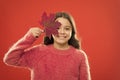 Small girl smiling with maple leaf. Maple syrup is often used as condiment for pancakes waffles oatmeal or porridge Royalty Free Stock Photo