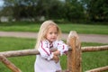 Small girl in ukrainian traditional clothes on the hedge