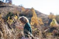 Small girl on a walk in nature, collecting rosehip fruit.