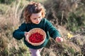 Small girl on a walk in nature, collecting rosehip fruit.