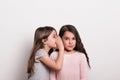 A small girl whispering something in an ear of her friend. Royalty Free Stock Photo