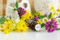 Small glass bottle with essential oil herbal tincture, extract, infusion and wild flowers. Aromatherapy, homemade spa