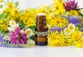 Small Glass Bottle With Essential Oil Herbal Tincture, Extract, Infusion And Wild Flowers. Aromatherapy And Homemade Spa