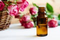 Small glass bottle with essential rose oil. Aromatherapy, spa and herbal medicine ingredients. Royalty Free Stock Photo