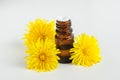 Small glass bottle with herbal tincture and dandelion flowers close up. Aromatherapy, spa and herbal medicine ingredients.