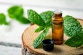 Small glass bottle with mint essential oil on wooden background