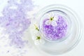 Small glass bowl with purple bath salt foot soak and white flowers. Top view