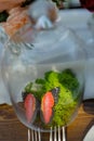 Small Glass Encapsulation Featuring Live Plants and Butterfly Royalty Free Stock Photo