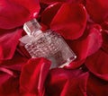 a small glass perfume bottle on red rose petals. place for text Royalty Free Stock Photo