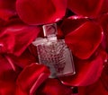 a small glass perfume bottle on red rose petals. place for text Royalty Free Stock Photo