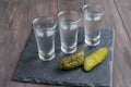 Small glass with Russian vodka and salt cucumber Royalty Free Stock Photo