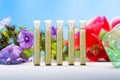 Small glass tubes with homeopathy globules Royalty Free Stock Photo