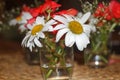 Flowers in a small vase