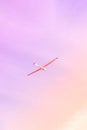 Small glider flying against the pink sky, concept of dream, happy future and positive outlook on life