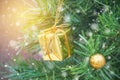 Small gold gift box on christmas tree with snow falling Royalty Free Stock Photo