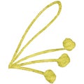 Small golden beautiful Cherry Raceme with leave and Fruits, great design for any purposes. Holiday illustration. Drawing