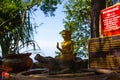 A small Golden Buddha statue with a close-up of the tropics. Statuette in the Buddha temple in Thailand