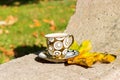 Small golden cup of tea on a saucer standing on a bench in the autumn the warm sunny day