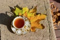 Small golden cup of tea on a saucer standing on a bench in the autumn the warm sunny day