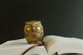 A golden figure of an owl on top of an open book.