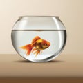 Small goldfish in glass bowl on table